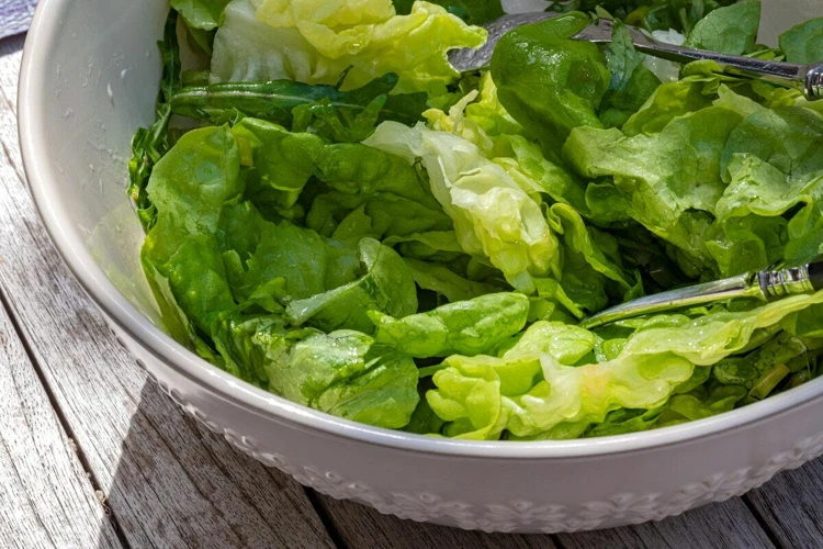 Pourquoi Est-Il Important De Bien Conserver La Salade?